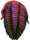 Trilobit Fossil